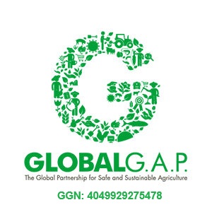 'certificado GLOBAL GAP Hortamar calidad hortofrutícola'
